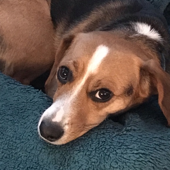 Meet your Posher, Christine - Picture 1 of 1